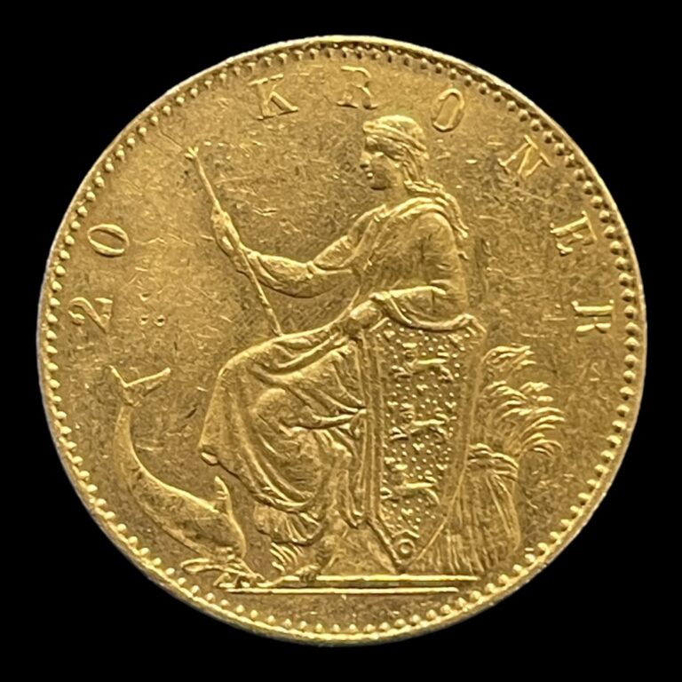 20 Kr 1873