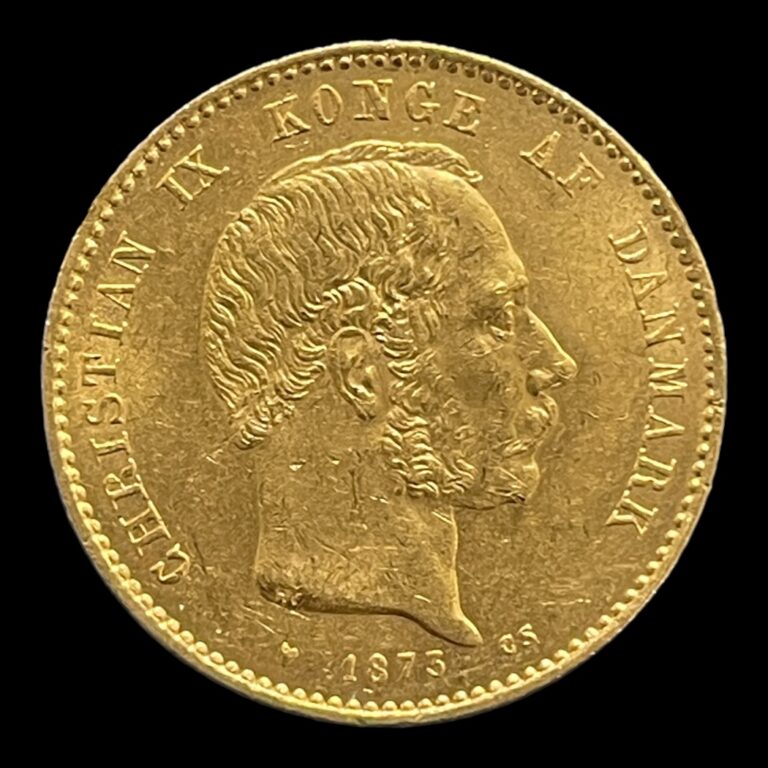 20 Kr 1873